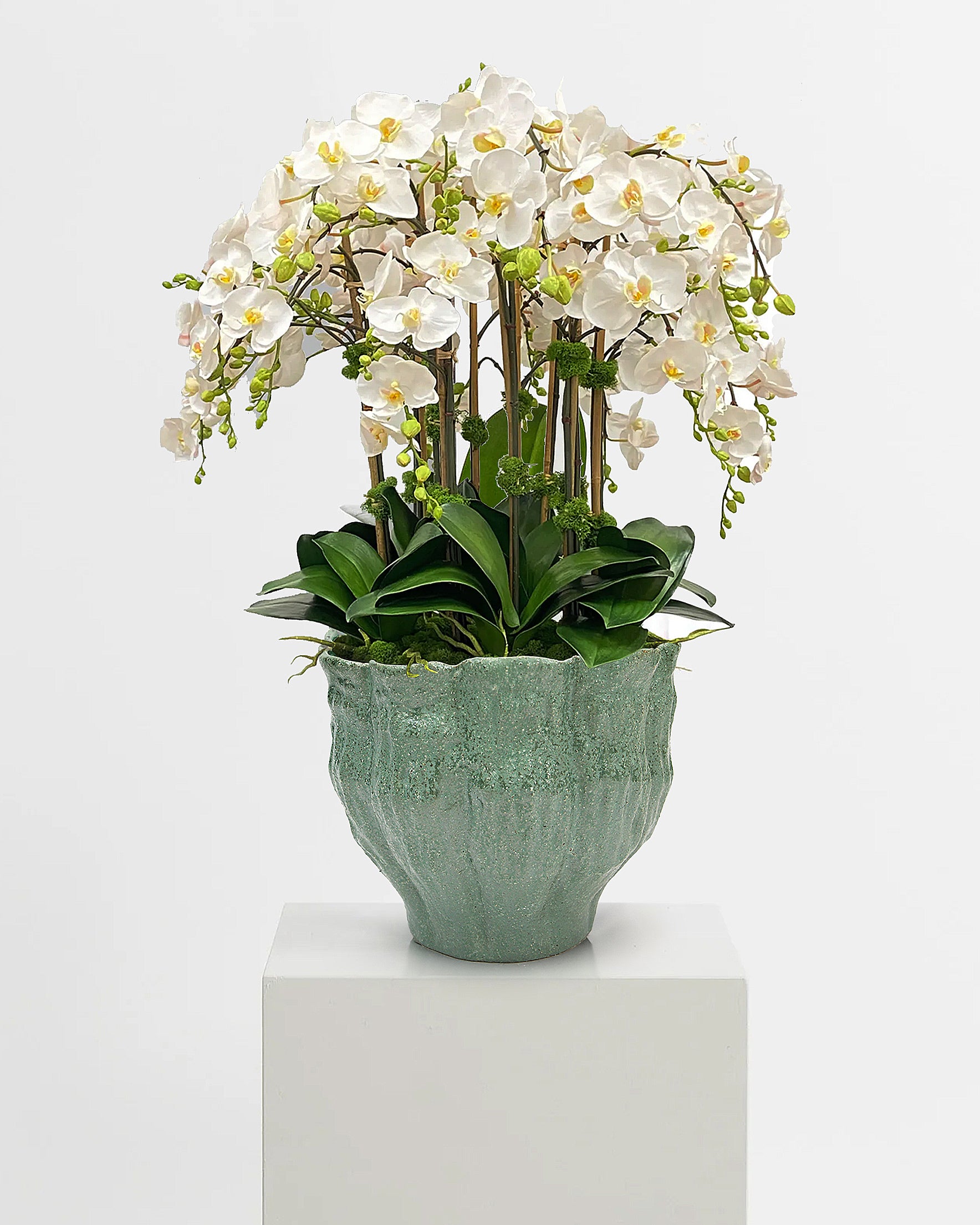 Galore Home Blossom Unfold vaso ceramica verde bocciolo