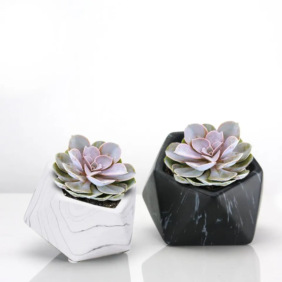 Galore Home Marble vaso ceramica bianco Small