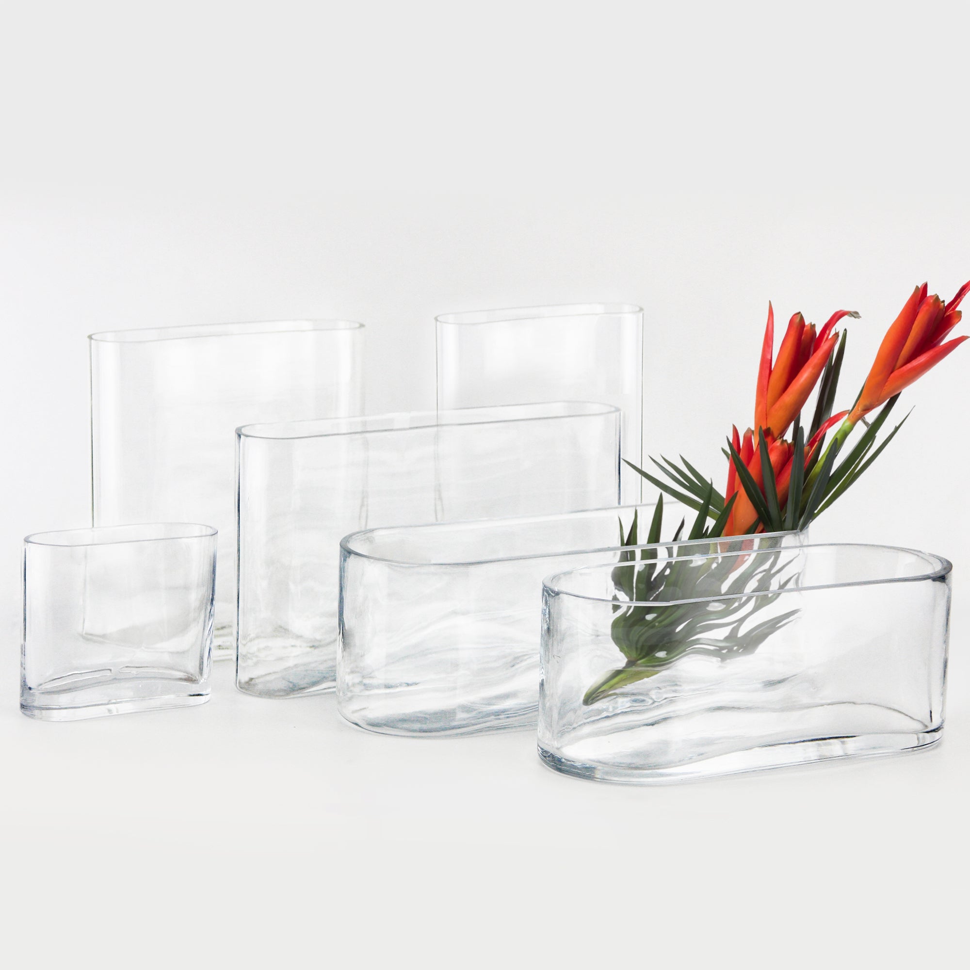 Galore Home Oval Flat U9758 vaso vetro 20 cm set 12 pezzi