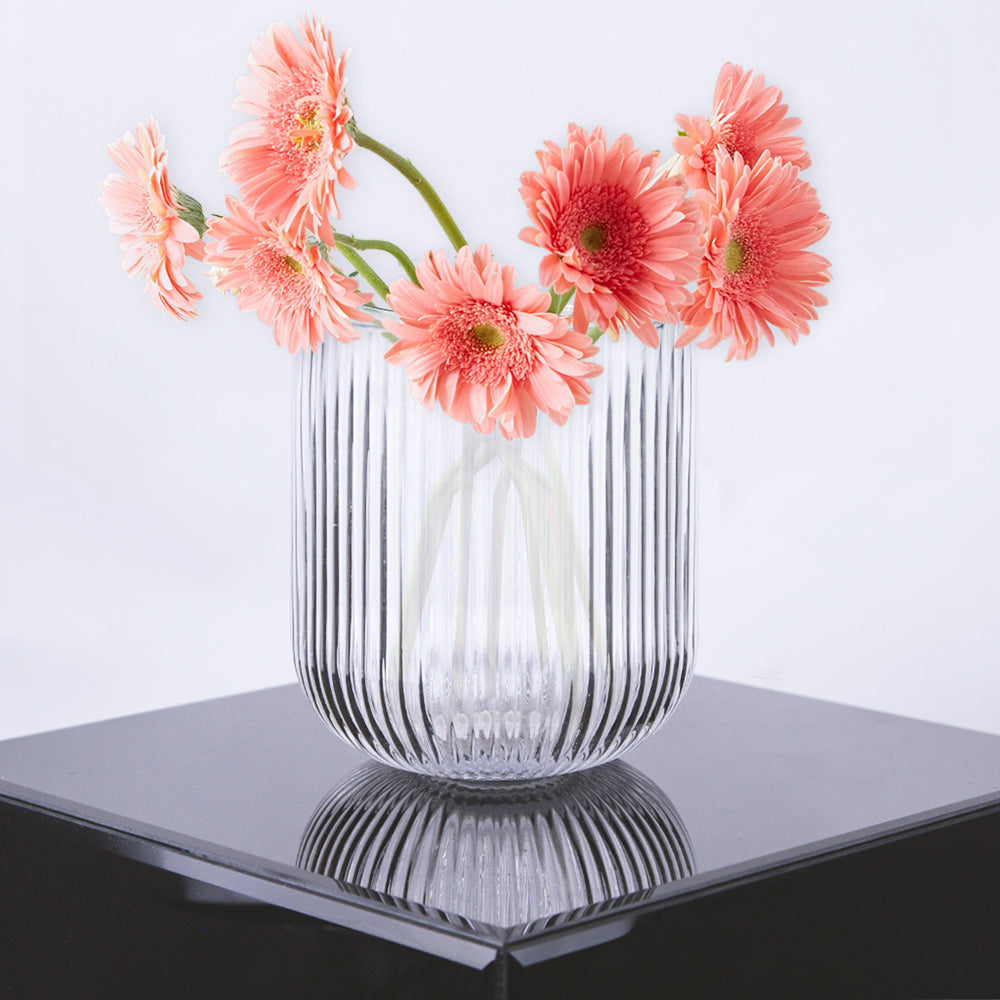 Galore Home Glass Stripe vasi vetro trasparente 12 pezzi