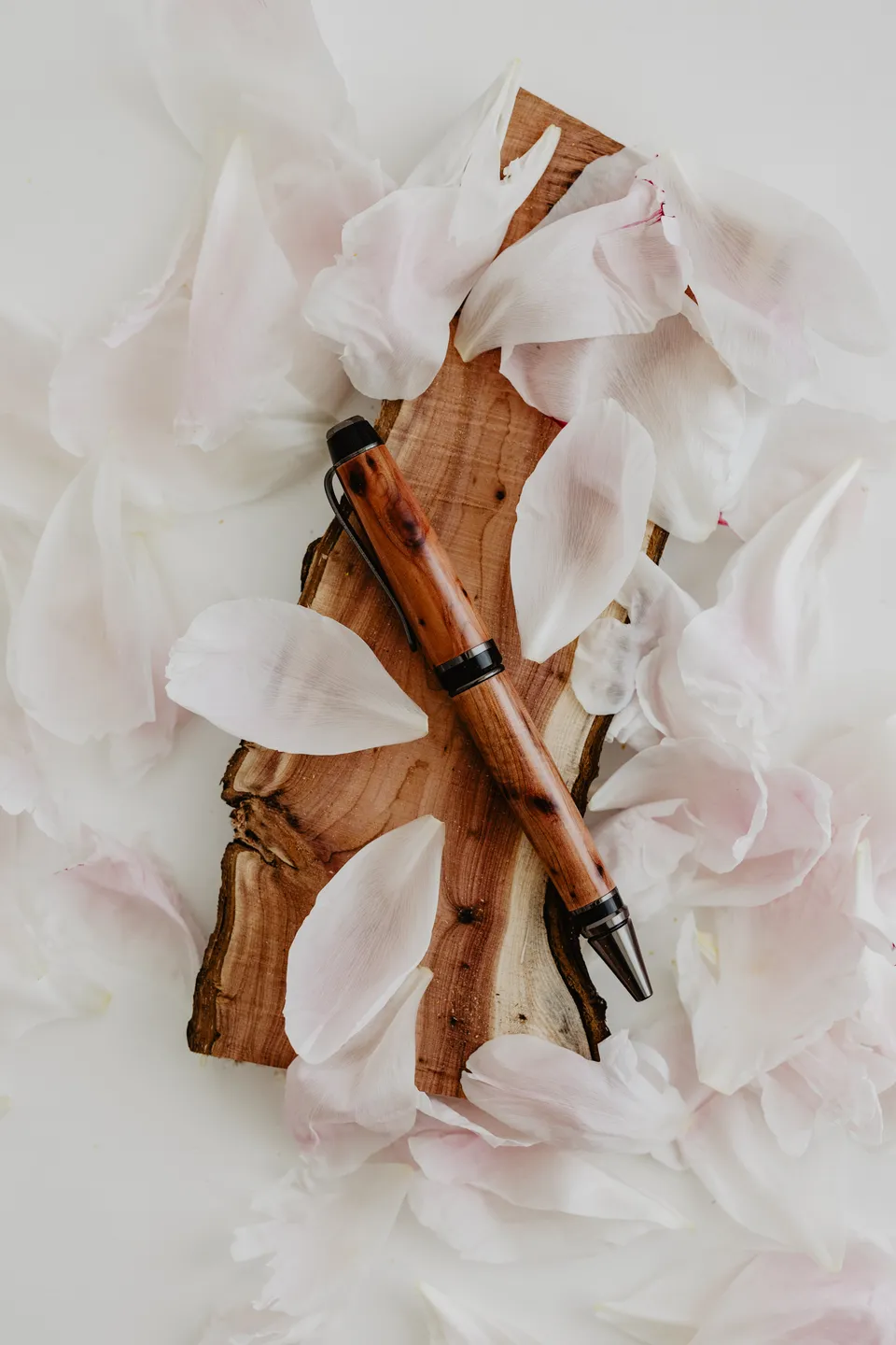 Il nido del picchio Cigar penna roller rosa banksiae