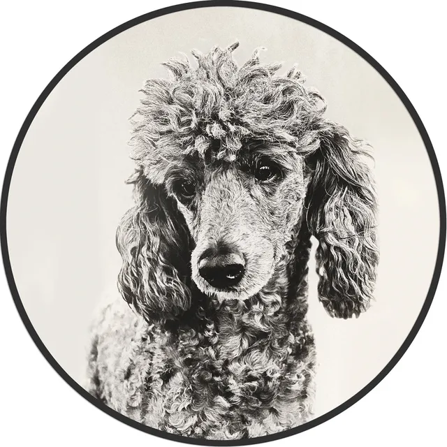 Galore Home Poodle quadro rotondo barboncino 61 cm
