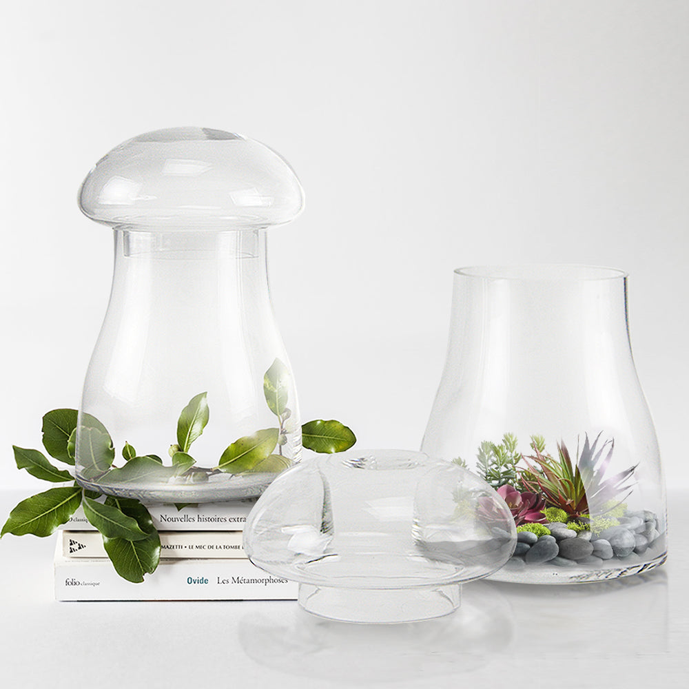 Galore Home Mushroom Terrarium terrario vetro grande