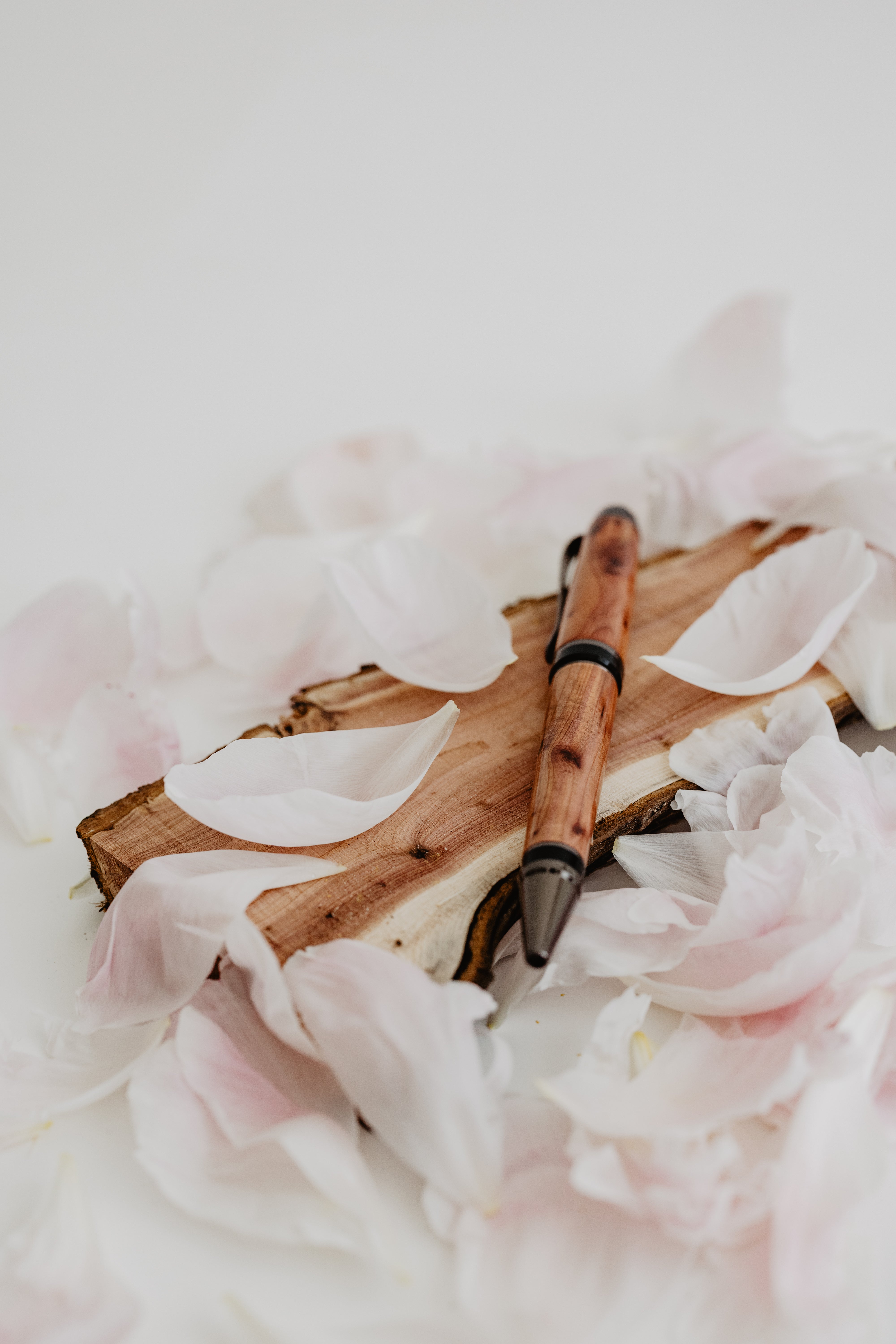 Il nido del picchio Cigar penna roller rosa banksiae