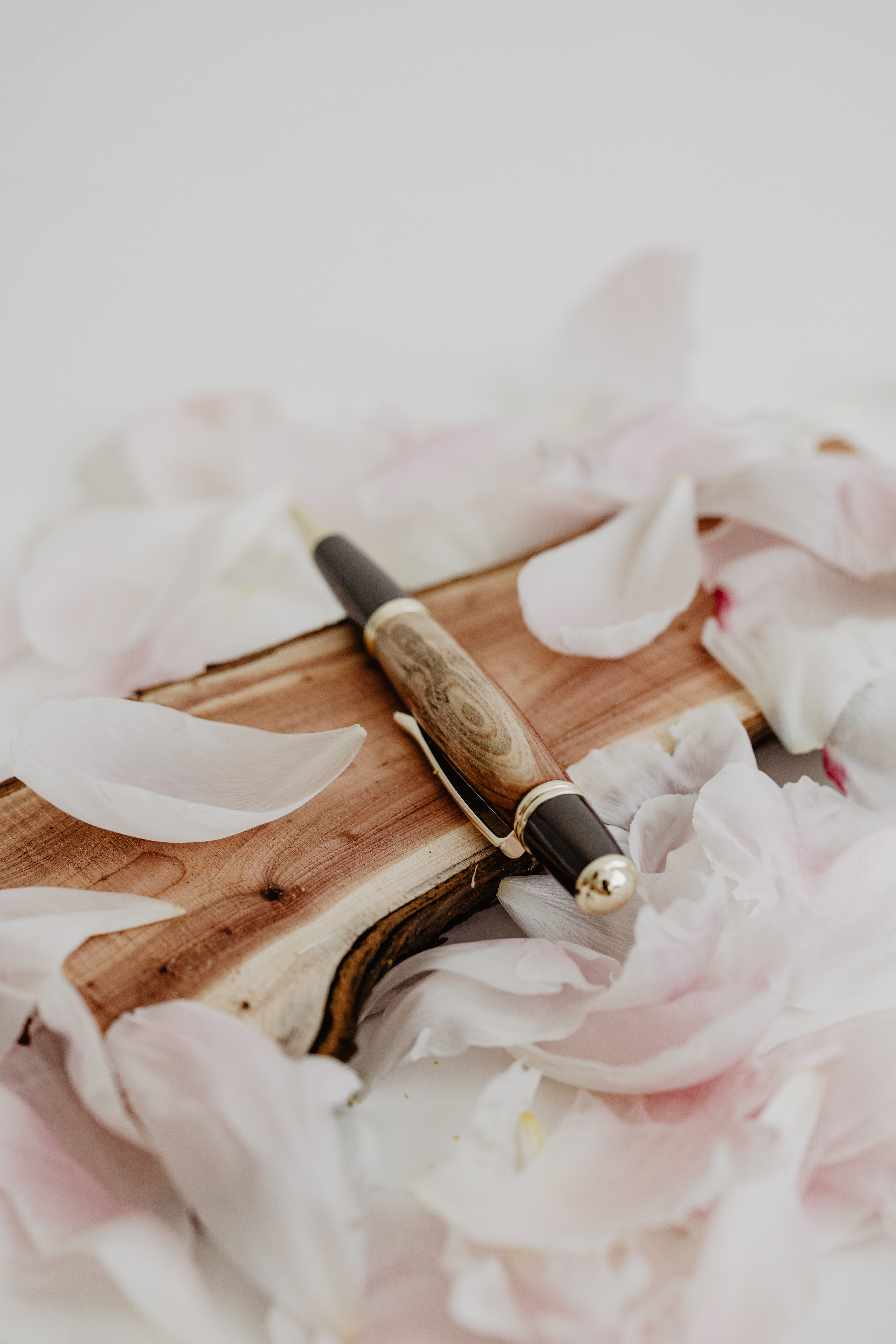 Il nido del picchio Gatsby Roller rosa banksiae oro nero