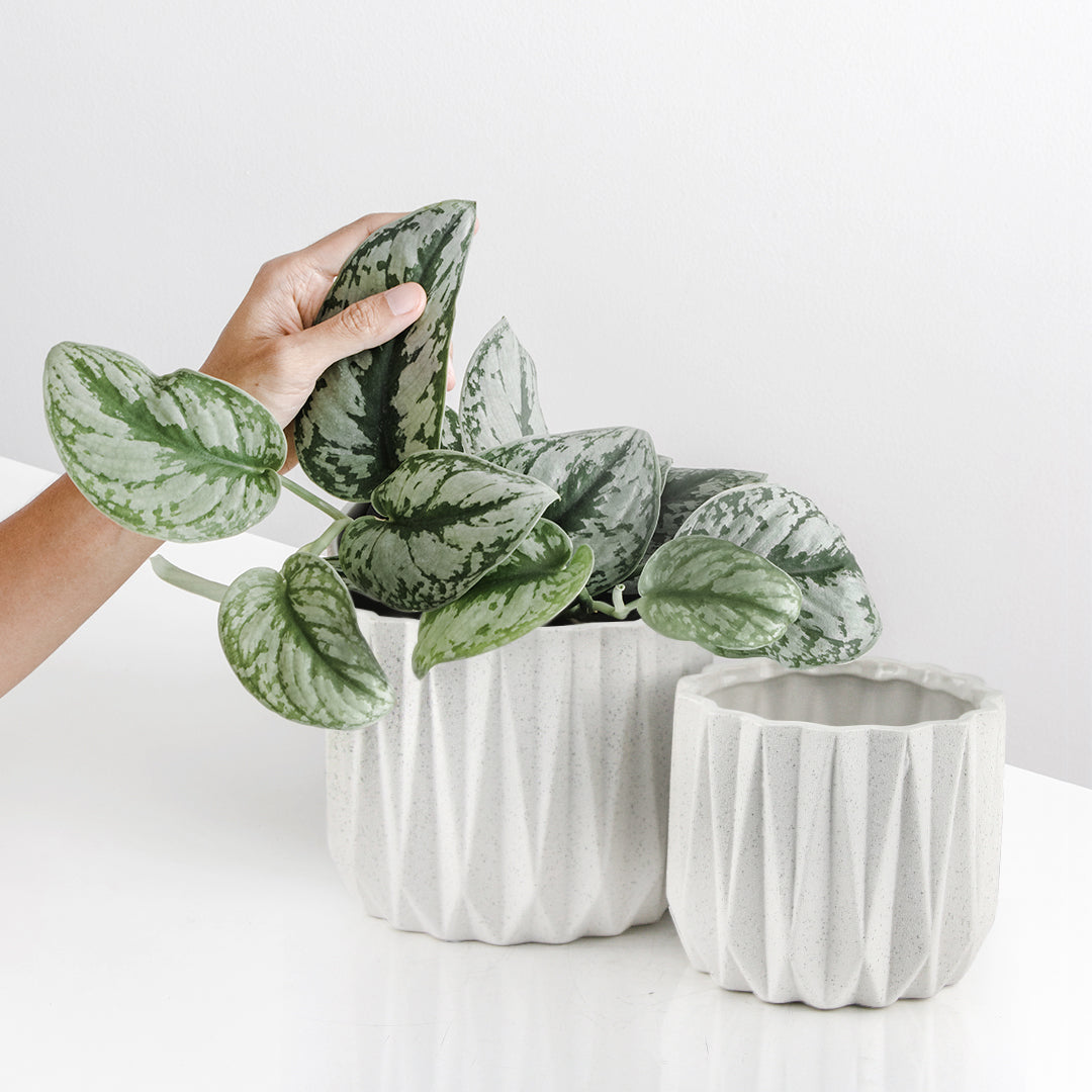 Galore Home Geometric vaso ceramica verde medio