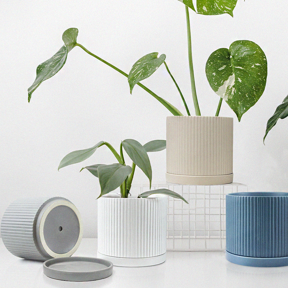 Galore Home Ridged vaso ceramica con sottovaso bianco