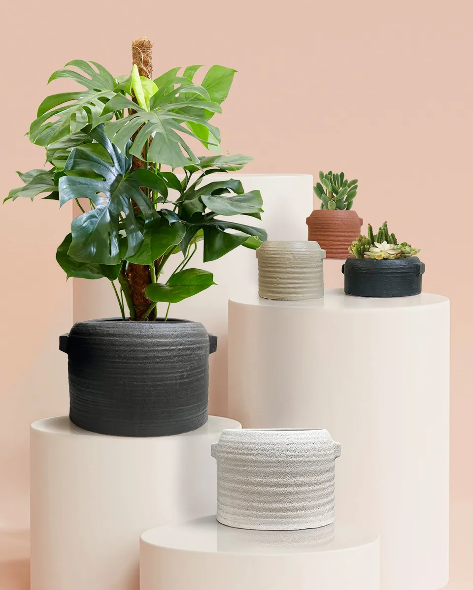 Galore Home Nomad vaso ceramica Pot nero