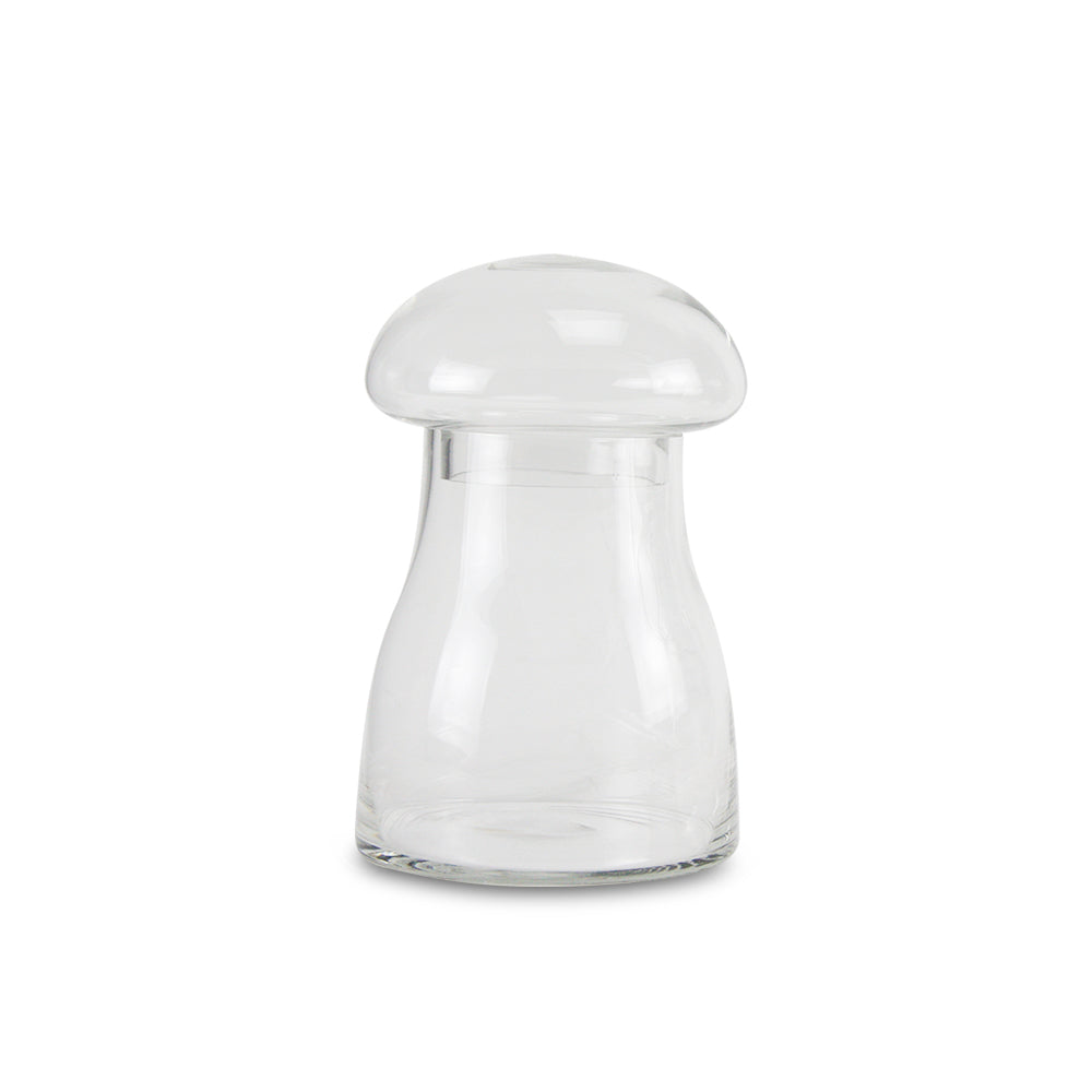 Galore Home Mushroom Terrarium terrario vetro grande