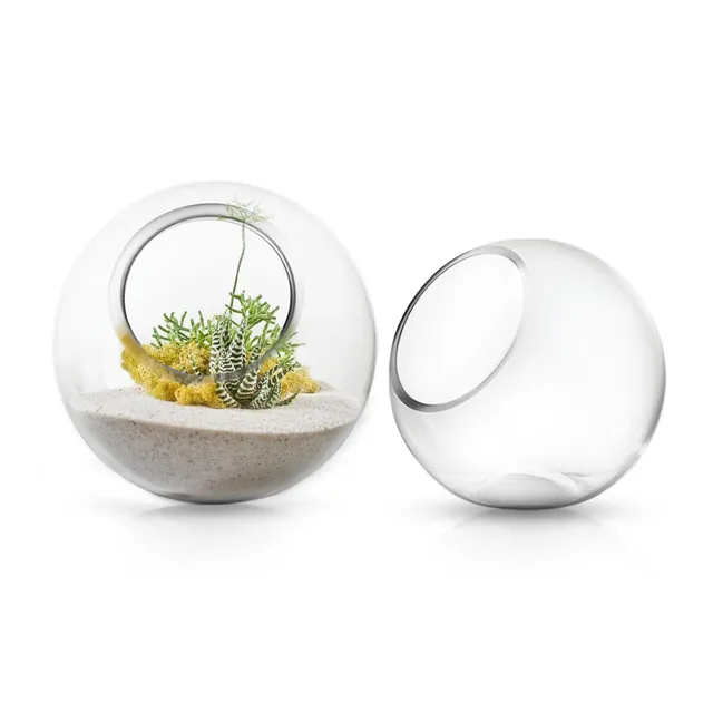 Galore Home Terrarium U9039 terrario vetro piccolo