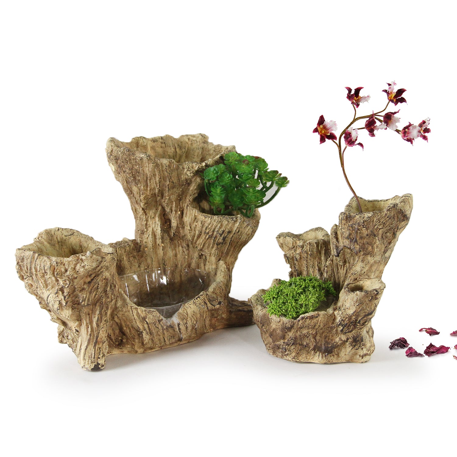 Galore Home Arboreal ciotola cemento 20 cm