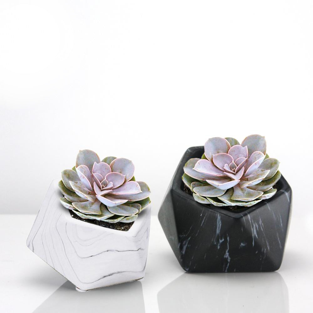 Galore Home Marble vaso ceramica bianco Small