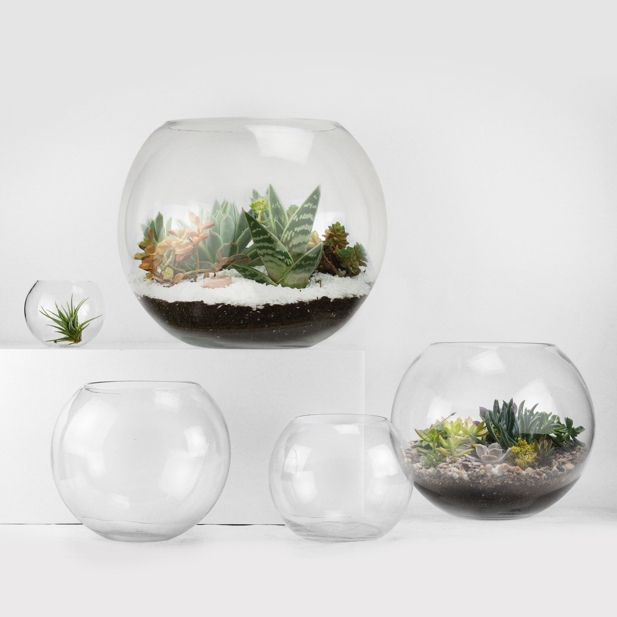 Galore Home Bubble Bowls Ciotola Vetro U9804 6 Pezzi