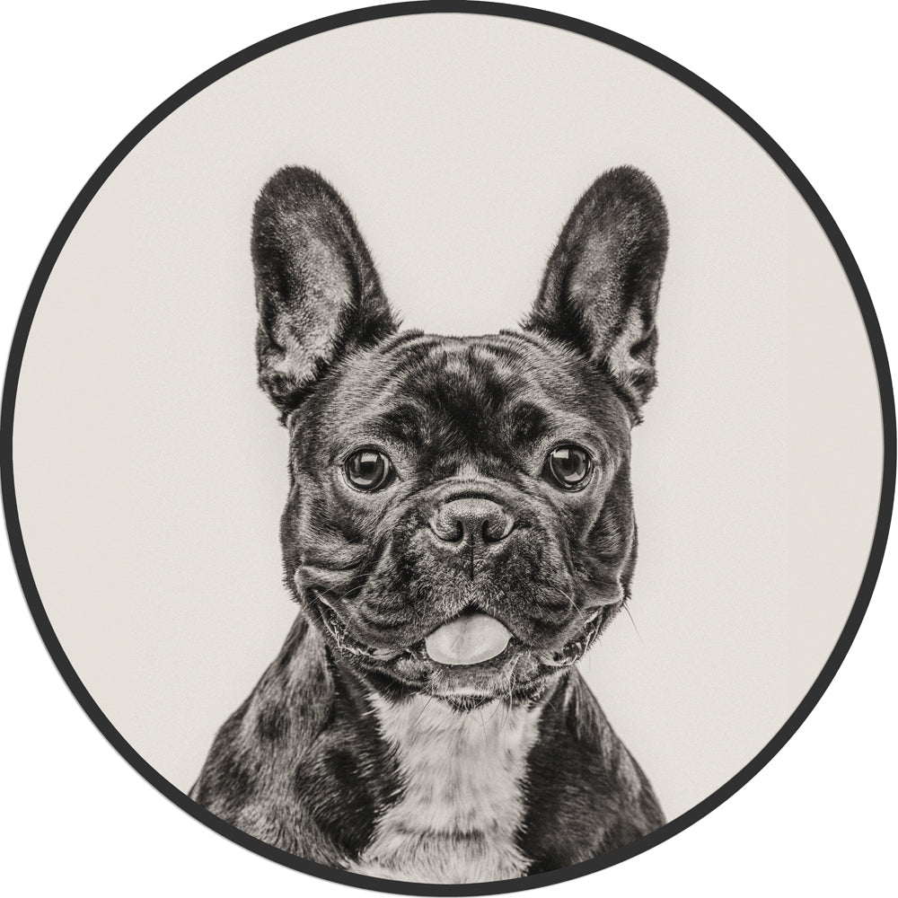 Galore Home Circular French Bulldog quadro rotondo 61 cm nero