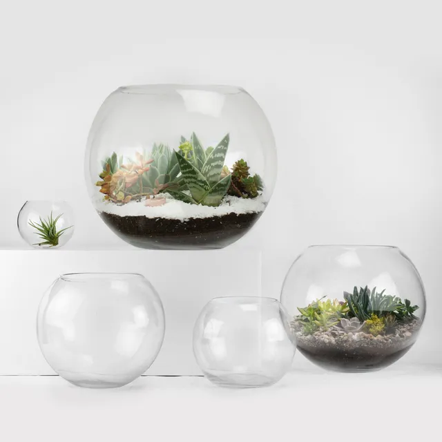 Galore Home Bubble Bowls Ciotola Vetro U9804 6 Pezzi