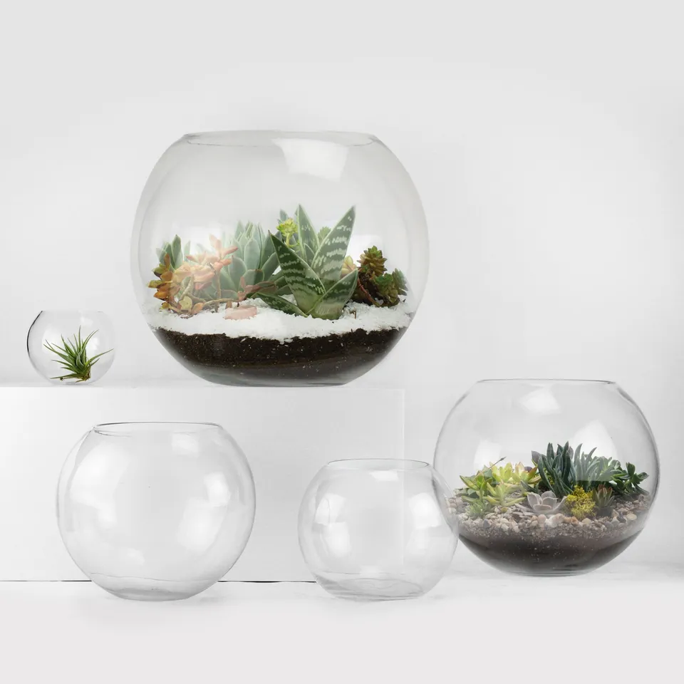 Galore Home Bubble Bowls Ciotola Vetro U9804 6 Pezzi