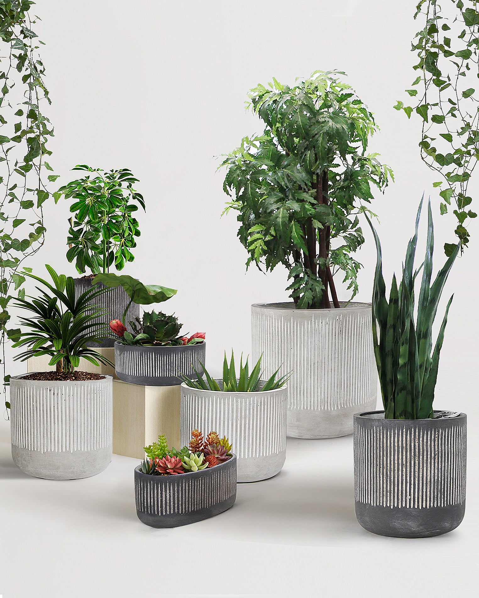 Galore Home Bamboo Portavaso Tondo Nero Small