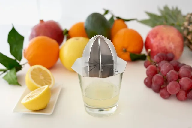 Cyrcus Design Brain Juice spremiagrumi acciaio specchio