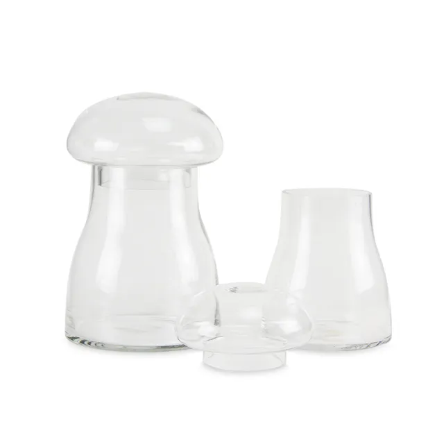 Galore Home Mushroom Terrarium terrario vetro grande