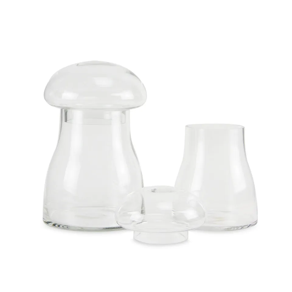 Galore Home Mushroom Terrarium terrario vetro grande