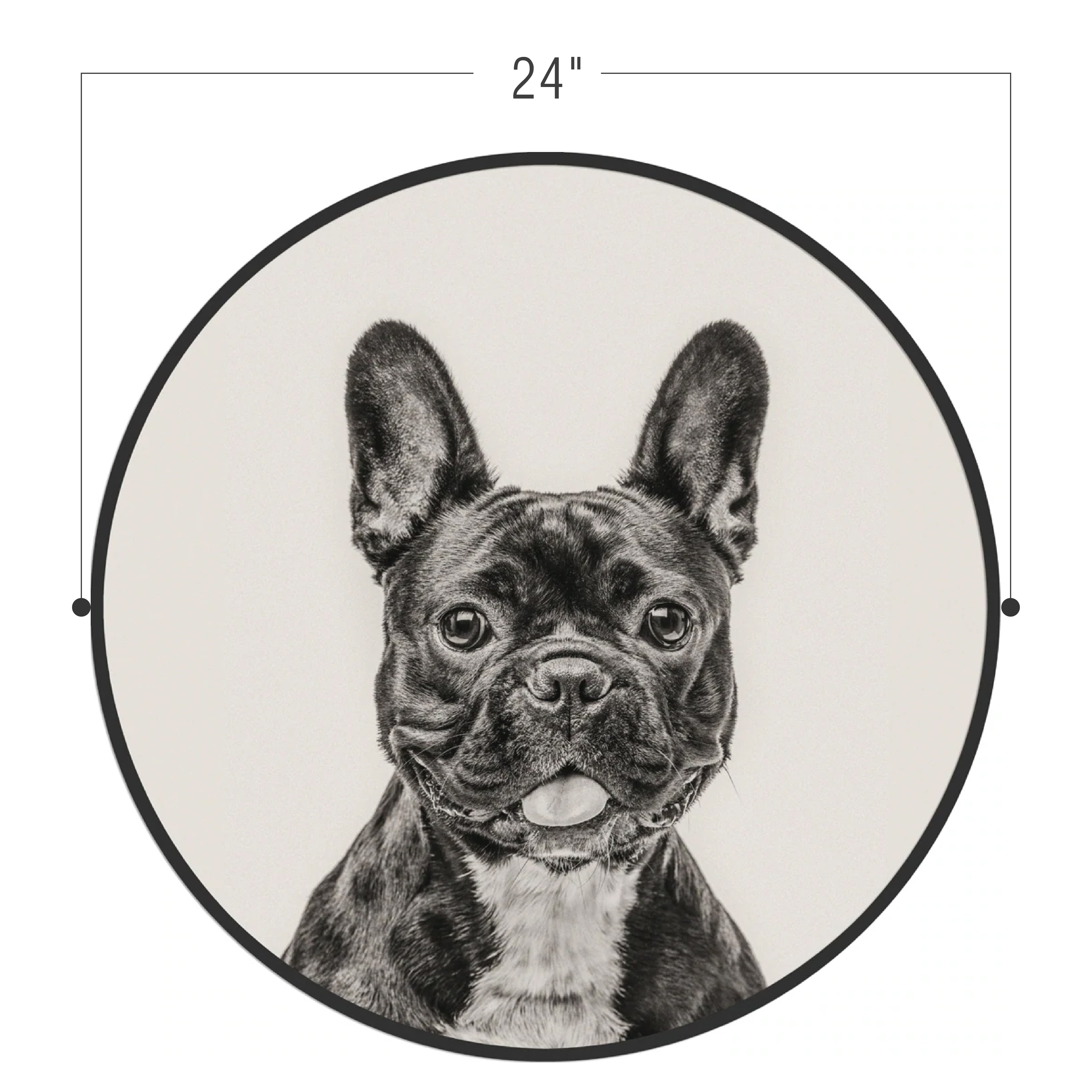 Galore Home Circular French Bulldog quadro rotondo 61 cm nero