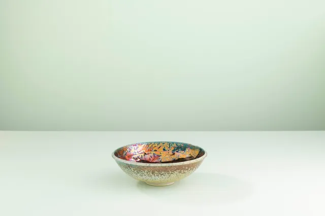 Ceramica Gatti 1928 Riflesso RF227 ciotola 20 cm