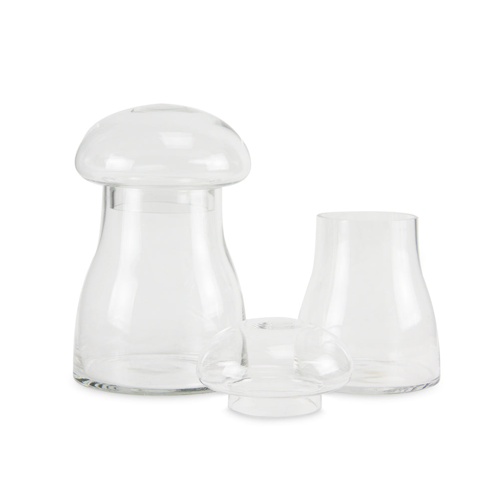 Galore Home Mushroom Terrarium terrario vetro grande