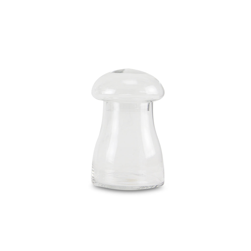 Galore Home Mushroom Terrarium terrario vetro grande