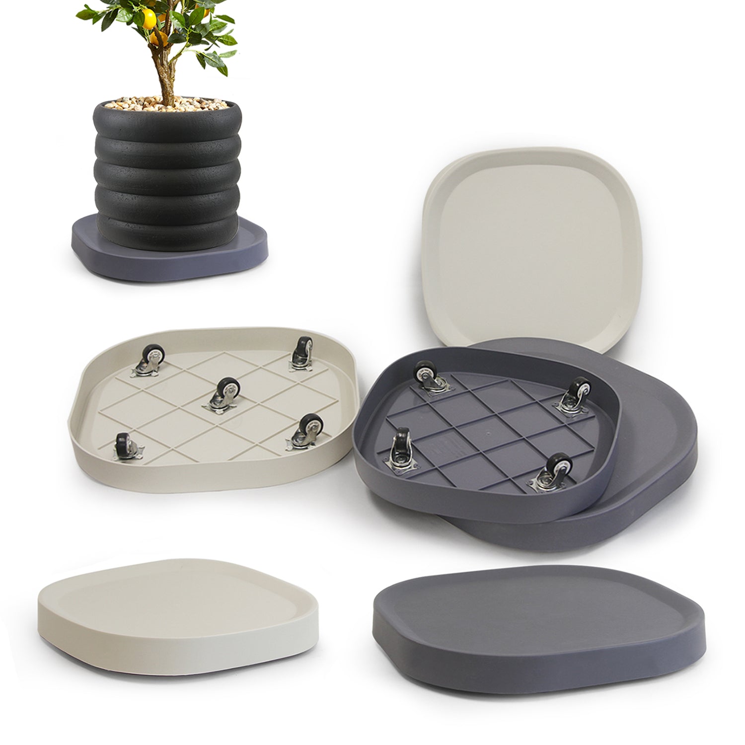 Galore Home Plant Trolley Sottovaso Ruote Grigio Small