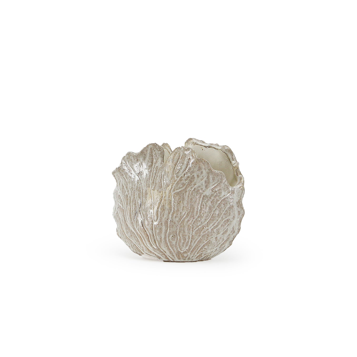 Galore Home Harmony Bloom vaso ceramica Shell Bowl beige