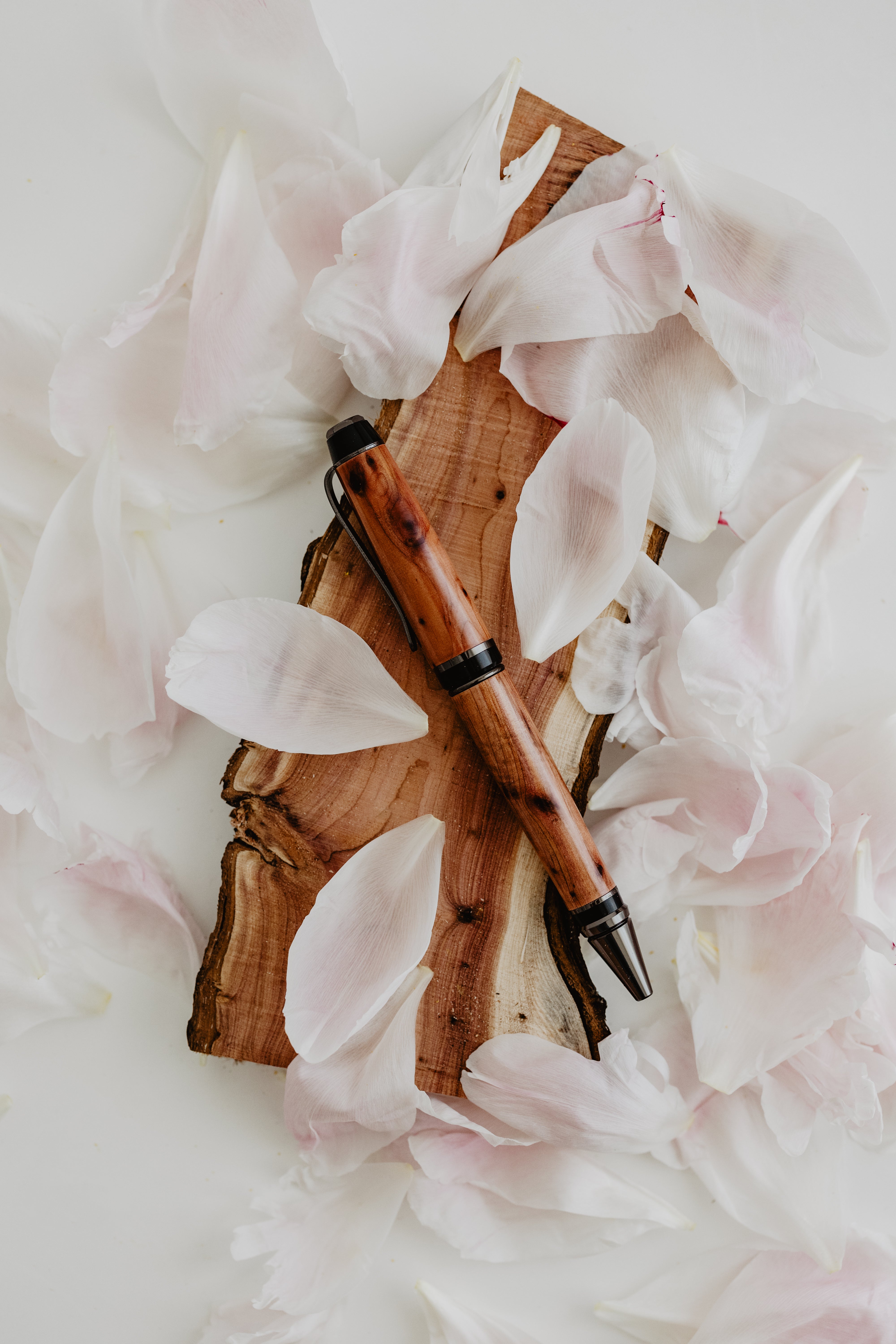 Il nido del picchio Cigar penna roller rosa banksiae