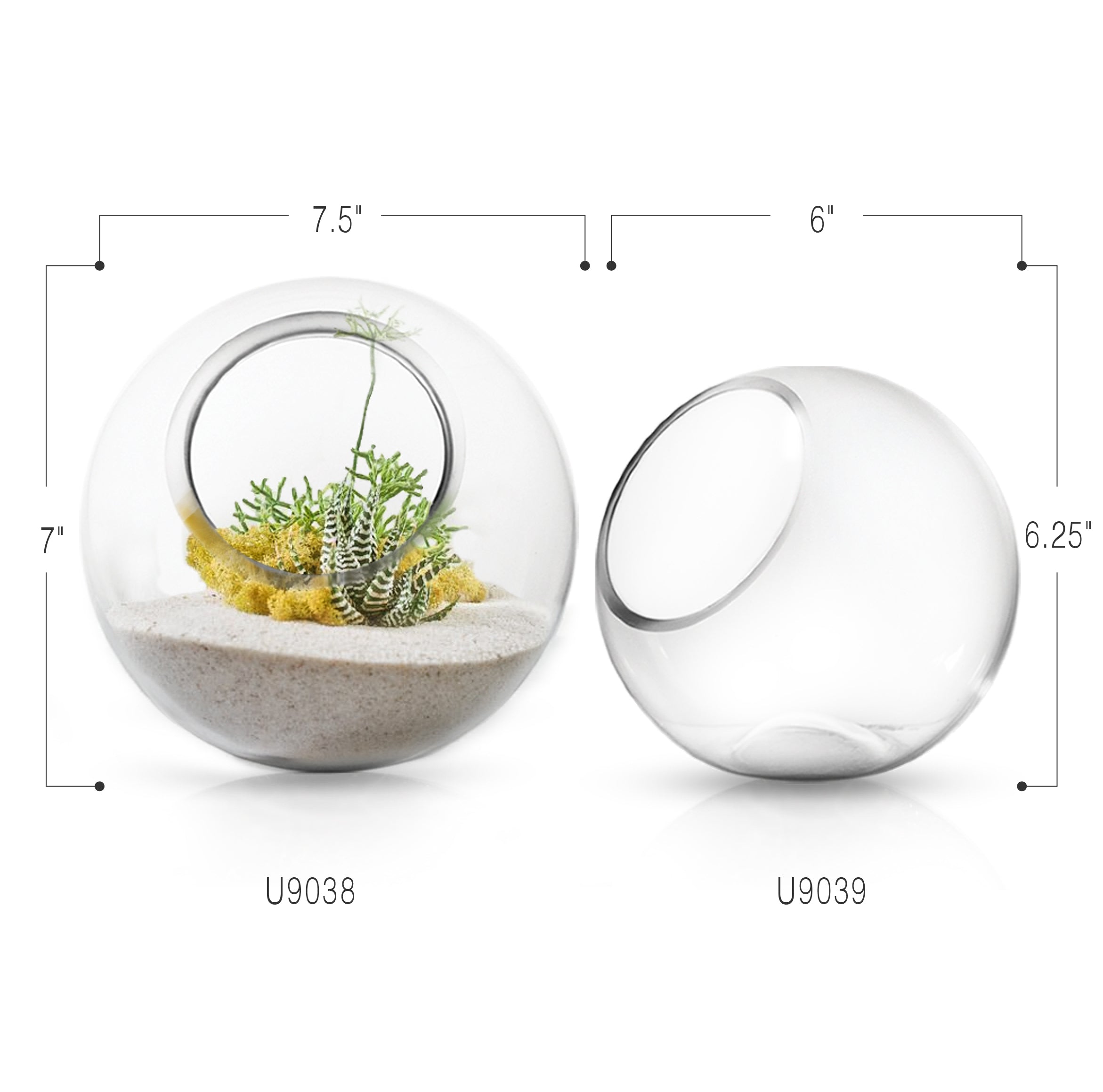 Galore Home Terrarium U9039 terrario vetro piccolo