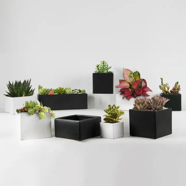 Galore Home Contemporary Vaso Cilindrico Nero CPR44 12pz