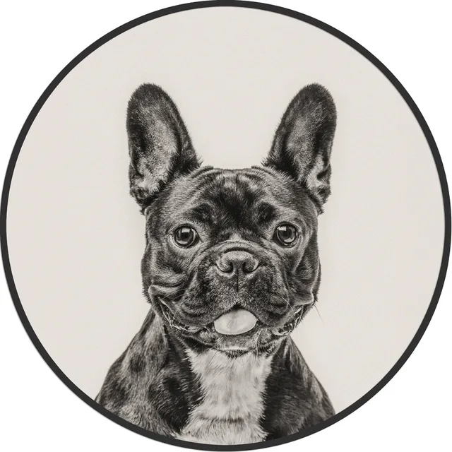 Galore Home Circular French Bulldog quadro rotondo 61 cm nero