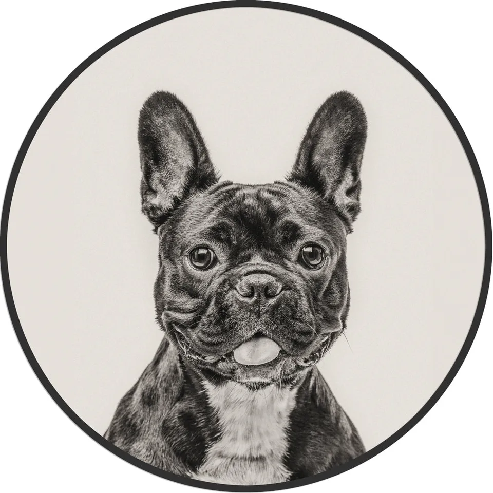 Galore Home Circular French Bulldog quadro rotondo 61 cm nero