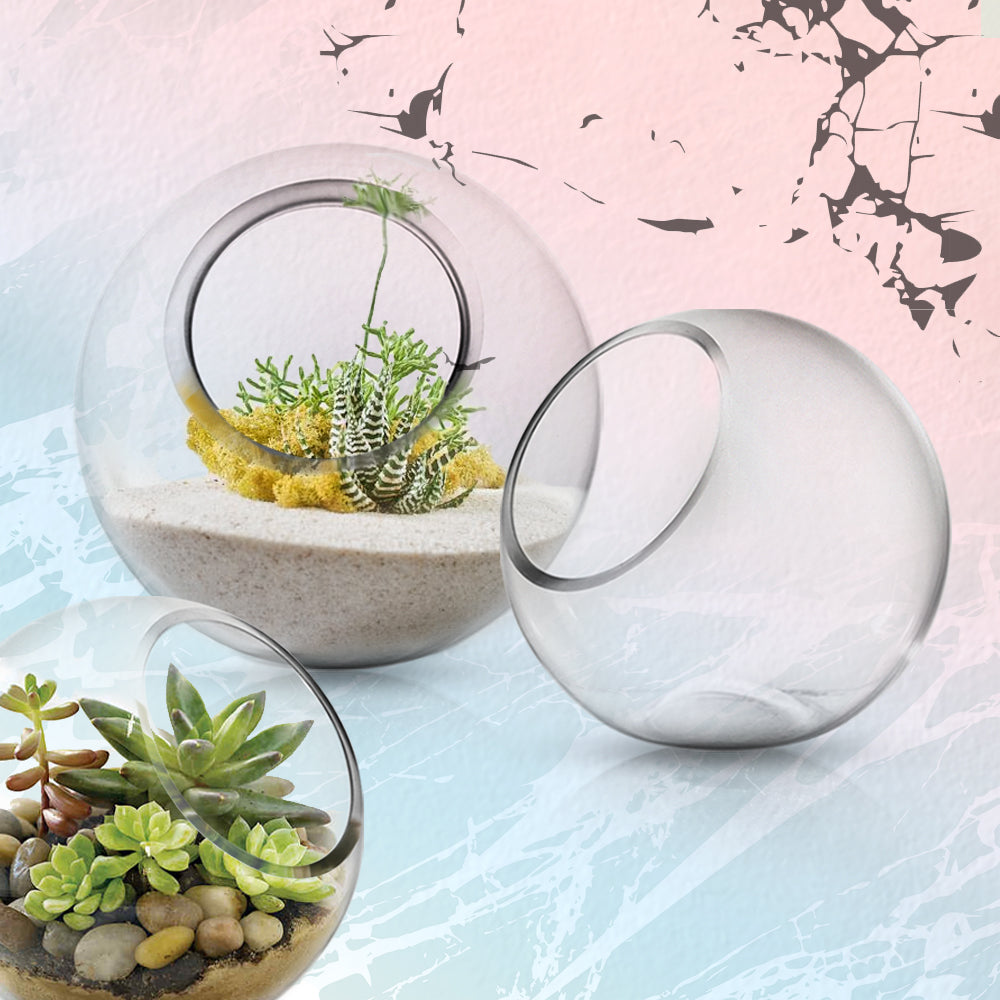 Galore Home Terrarium U9039 terrario vetro piccolo