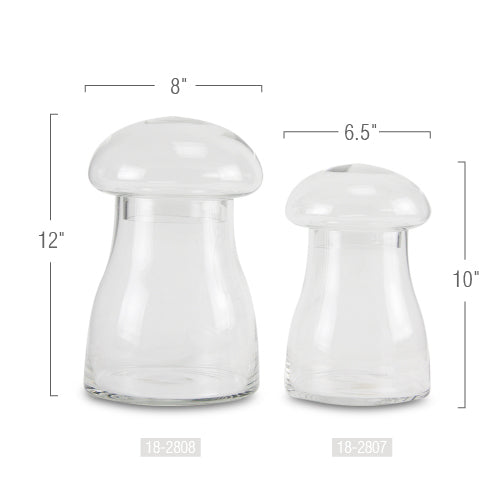 Galore Home Mushroom Terrarium terrario vetro grande