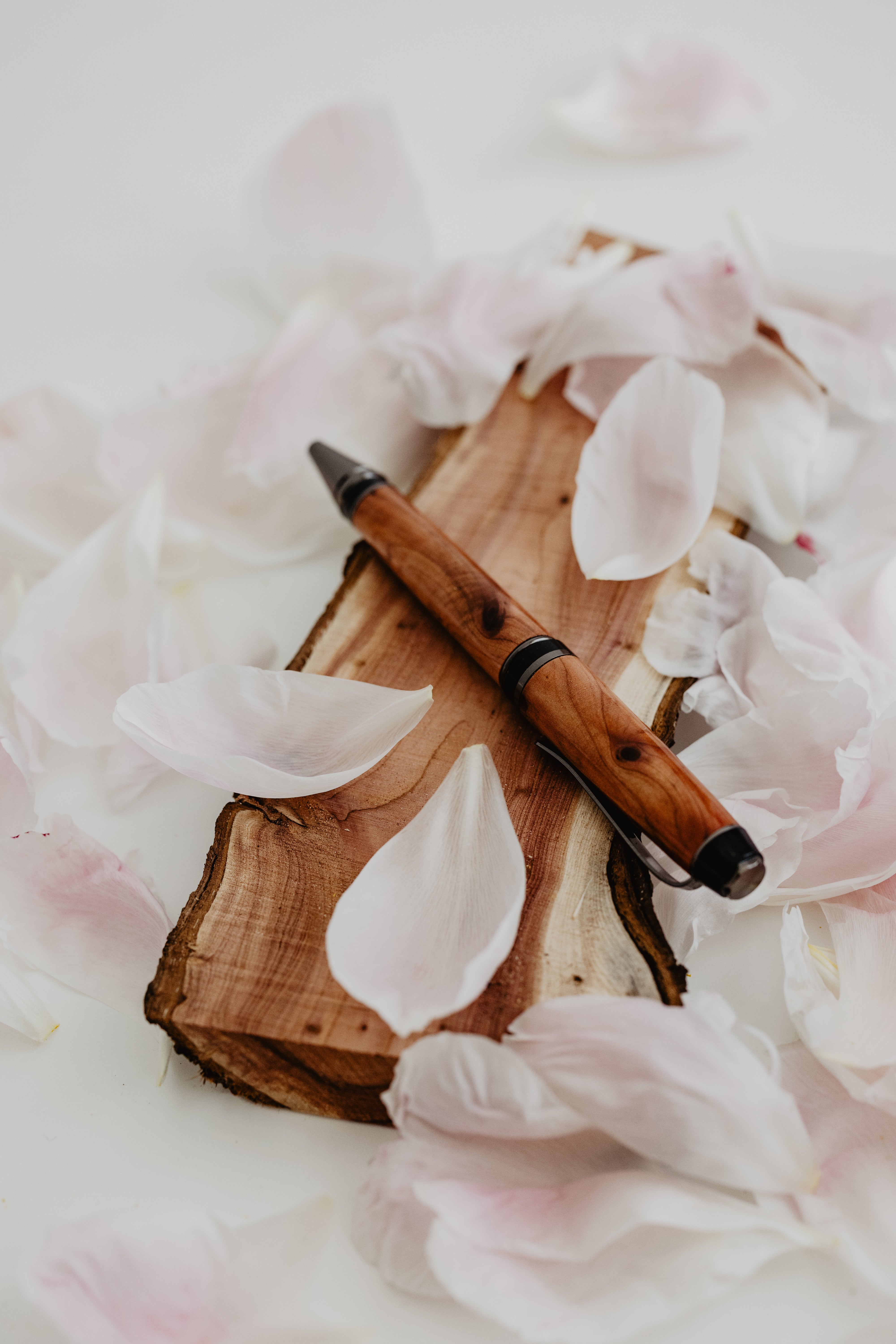 Il nido del picchio Cigar penna roller rosa banksiae
