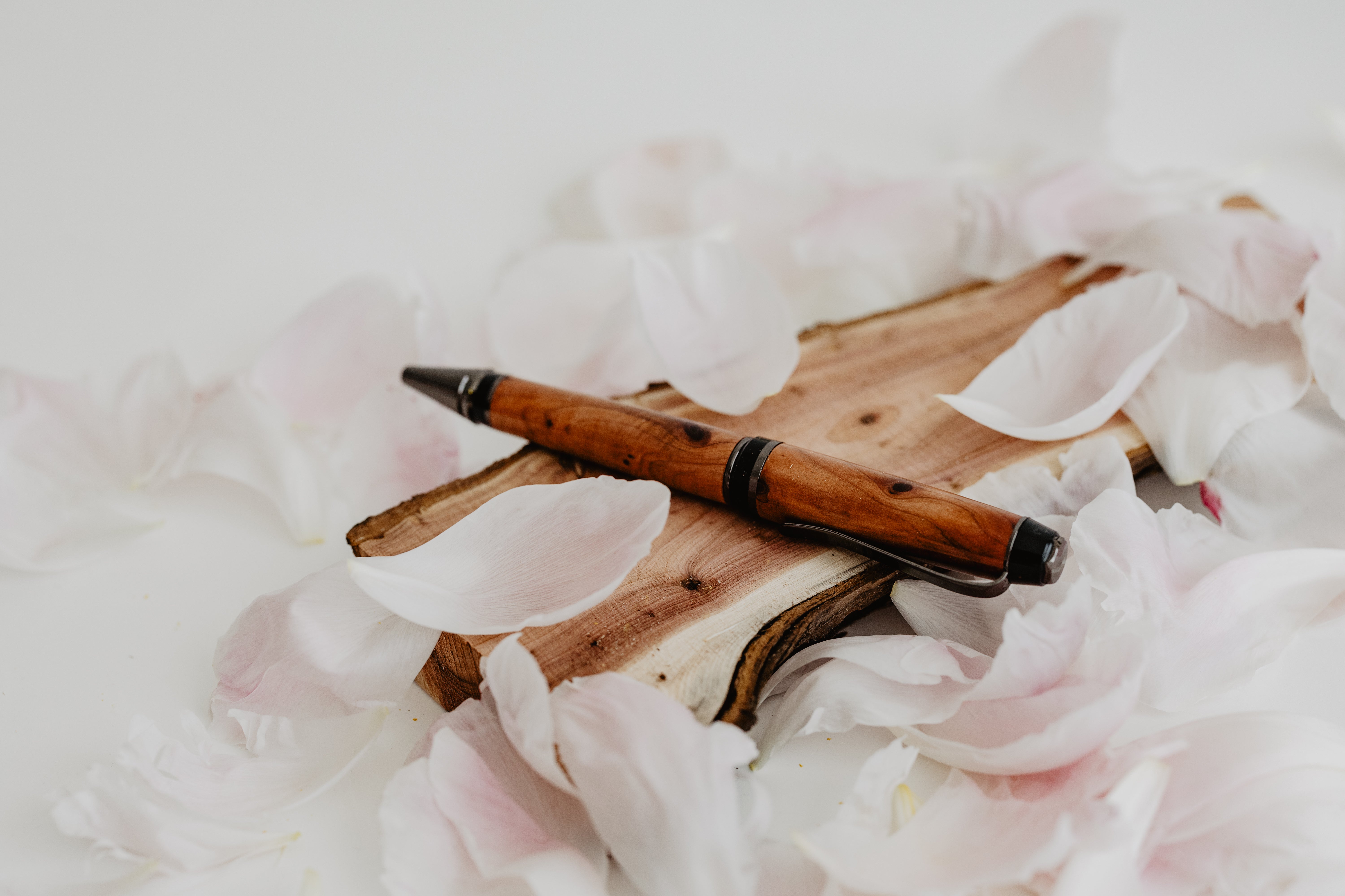Il nido del picchio Cigar penna roller rosa banksiae