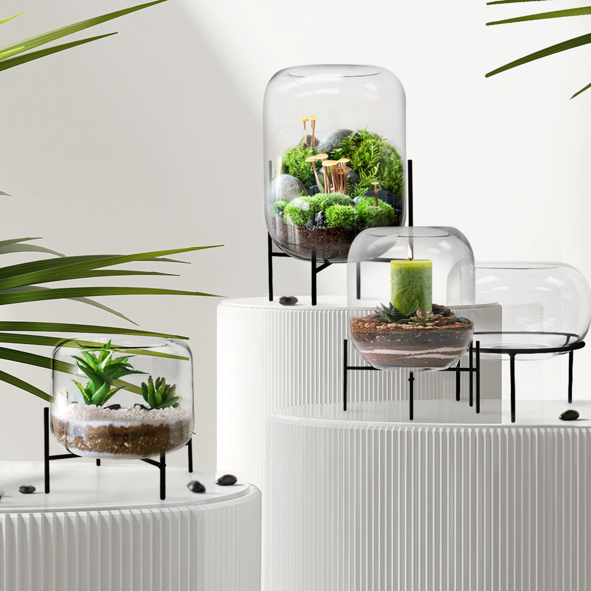 Galore Home Mousseaux 18-0435 terrario vetro X-Large 38 cm